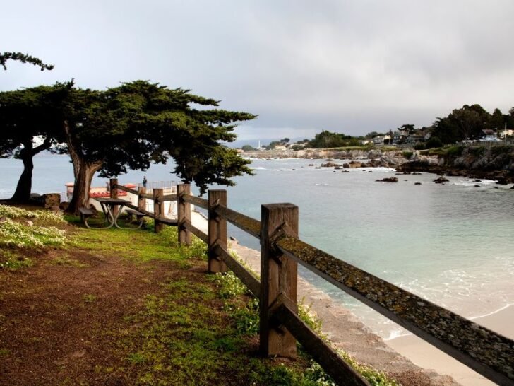 6 Closest Airports To Big Sur, California – The Park's Life