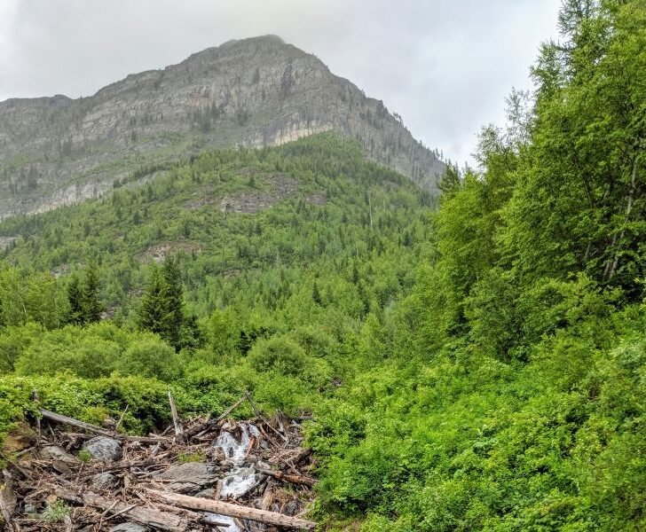 Car Camping Near San Luis Obispo (3 Free Spots) The Park's Life